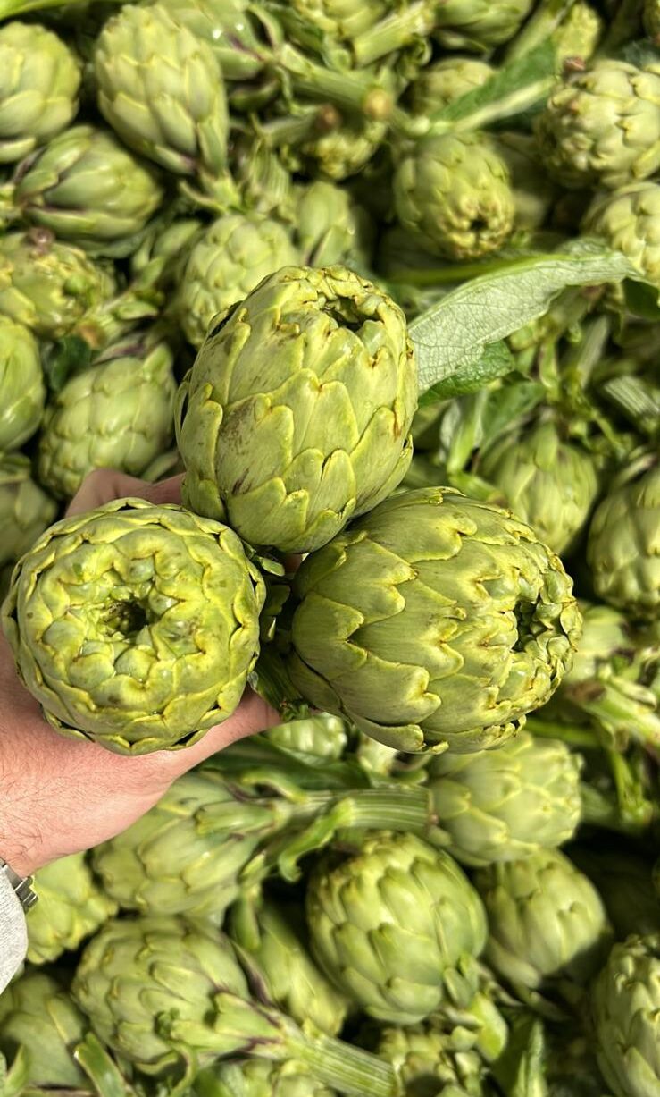 alcachofa