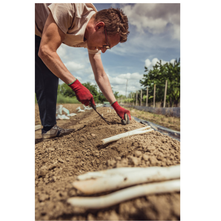 5. Productos únicos