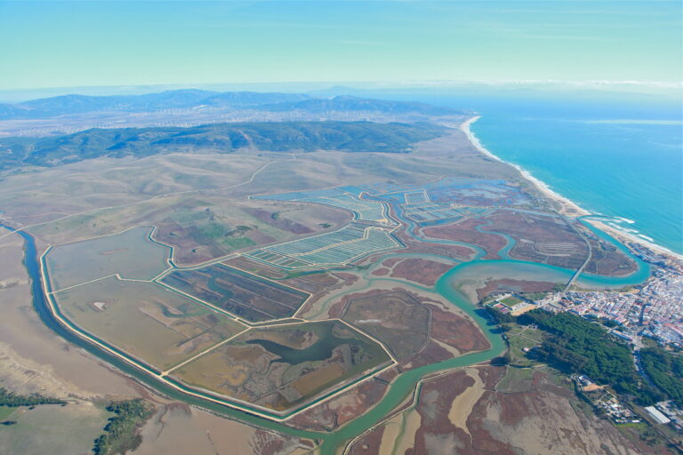 FOTOS AEREAS BARBATE 055