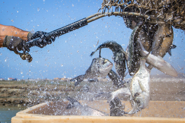 QSFP Pressereise Lubimar Sascha Walz (73 von 203)