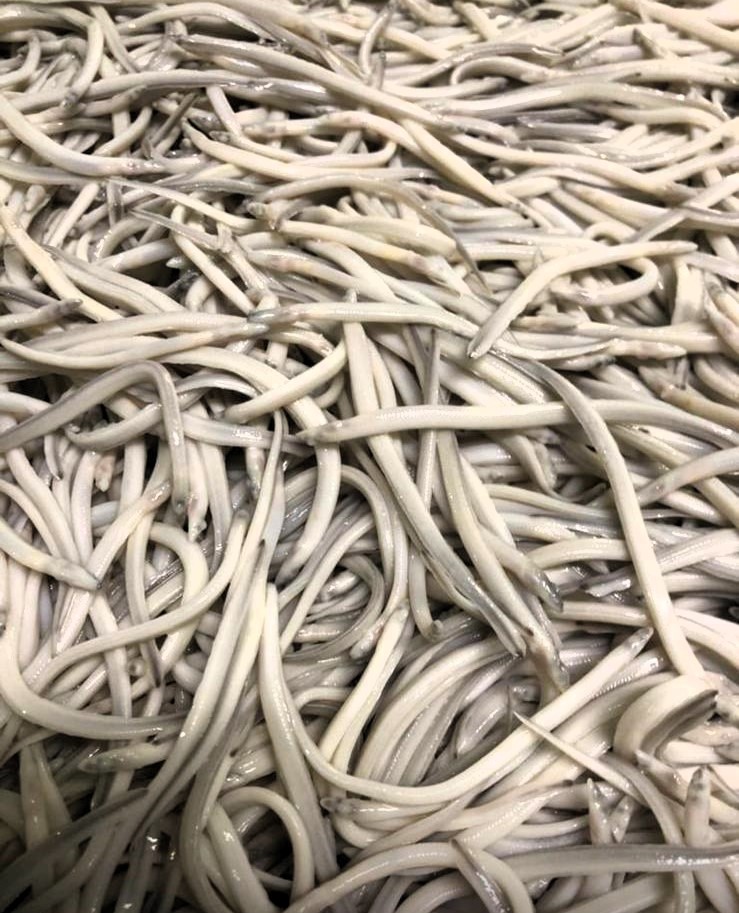 WhatsApp Image 2025-02-03 at 20.24.59 (1)