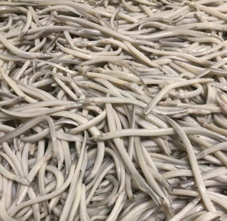 WhatsApp Image 2025-02-03 at 20.24.59 (2)