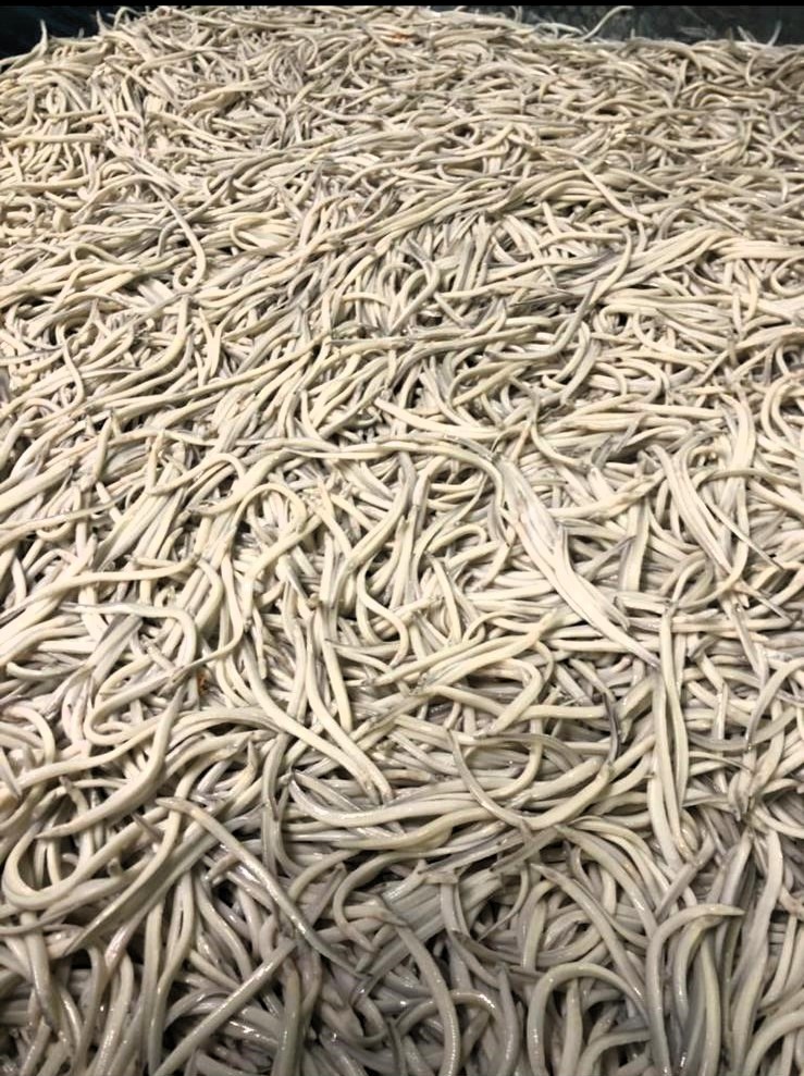 WhatsApp Image 2025-02-03 at 20.24.59